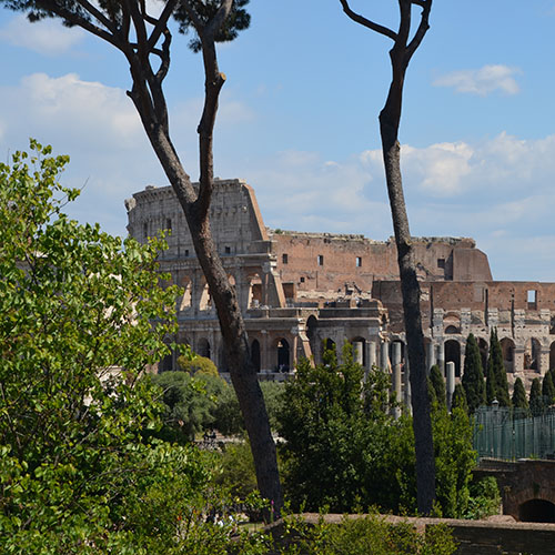 Rome-1